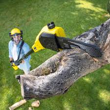 Best Lawn Watering Services  in Marion, PA