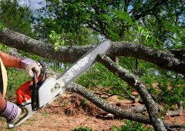 Best Lawn Grading and Leveling  in Marion, PA