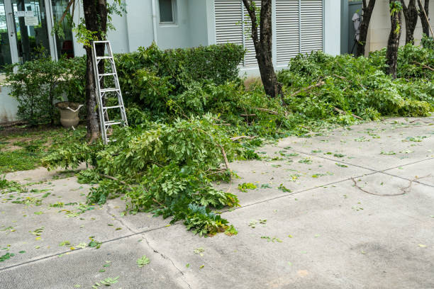 Best Pest Control for Lawns  in Marion, PA